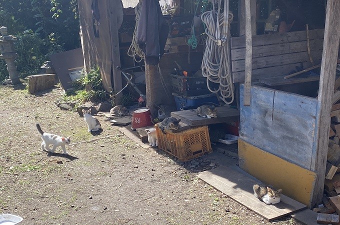 寄附金の使い道