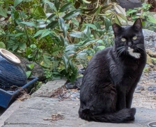 寄附金の使い道