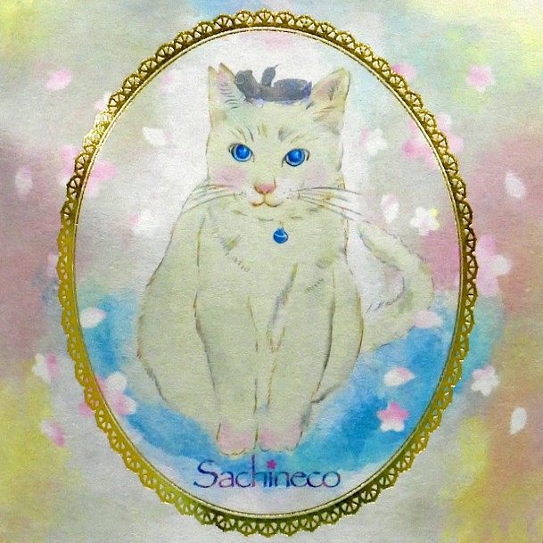 返礼品不要の寄附者様へ