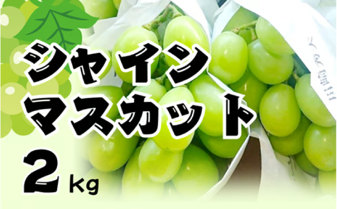 お申し込みは画像から！