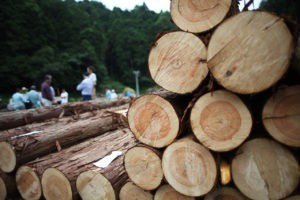 地元材「おおさか河内材」の活用について