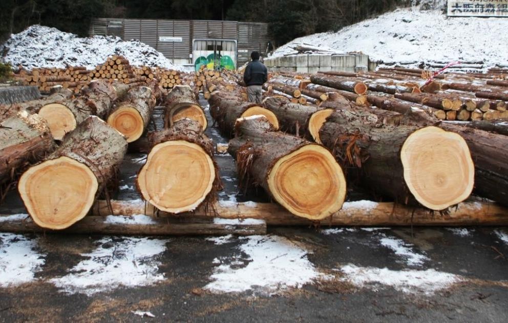 地元材「おおさか河内材」の活用について