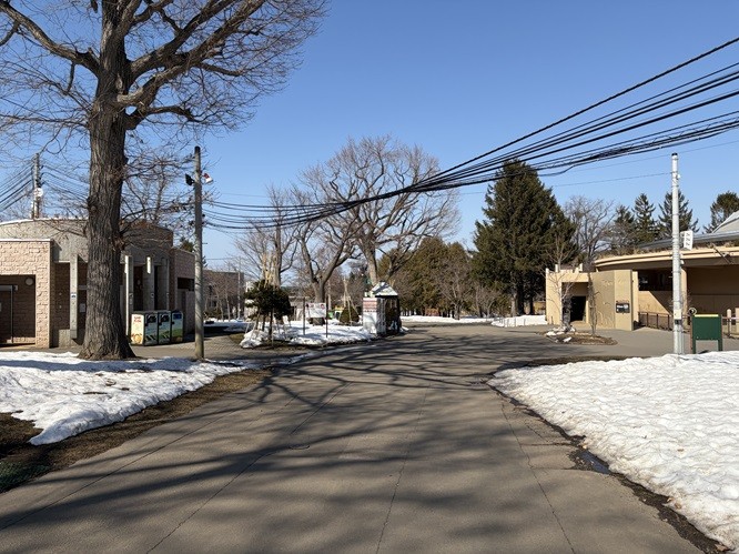 70,000円以上／朝の動物園を見学～誰もいない朝の動物園を体験～
