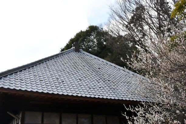 寄付金の使い道