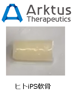 ➀株式会社Arktus Therapeutics
ヒトiPS軟骨細胞で膝の再生に挑む