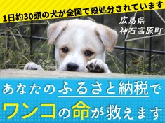 奪われる命が多い年末こそ あなたのご支援が必要です ふるさと納税のガバメントクラウドファンディングは ふるさとチョイス