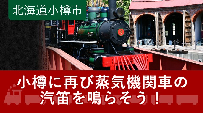 ふるさと納税 服 北海道 小樽市  E+Fセット アイアンホース号 Tシャツ ガイドブック クリアファイル セット（120cm） 120cm Fセット】(全2点) アイアンホース号Tシャツ、ガイドブック