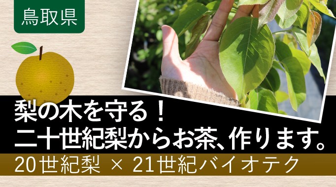 世紀梨 21世紀バイオテク 鳥取県のシンボル 梨 から健康促進商品の開発を目指す ふるさと納税のガバメントクラウドファンディングは ふるさとチョイス