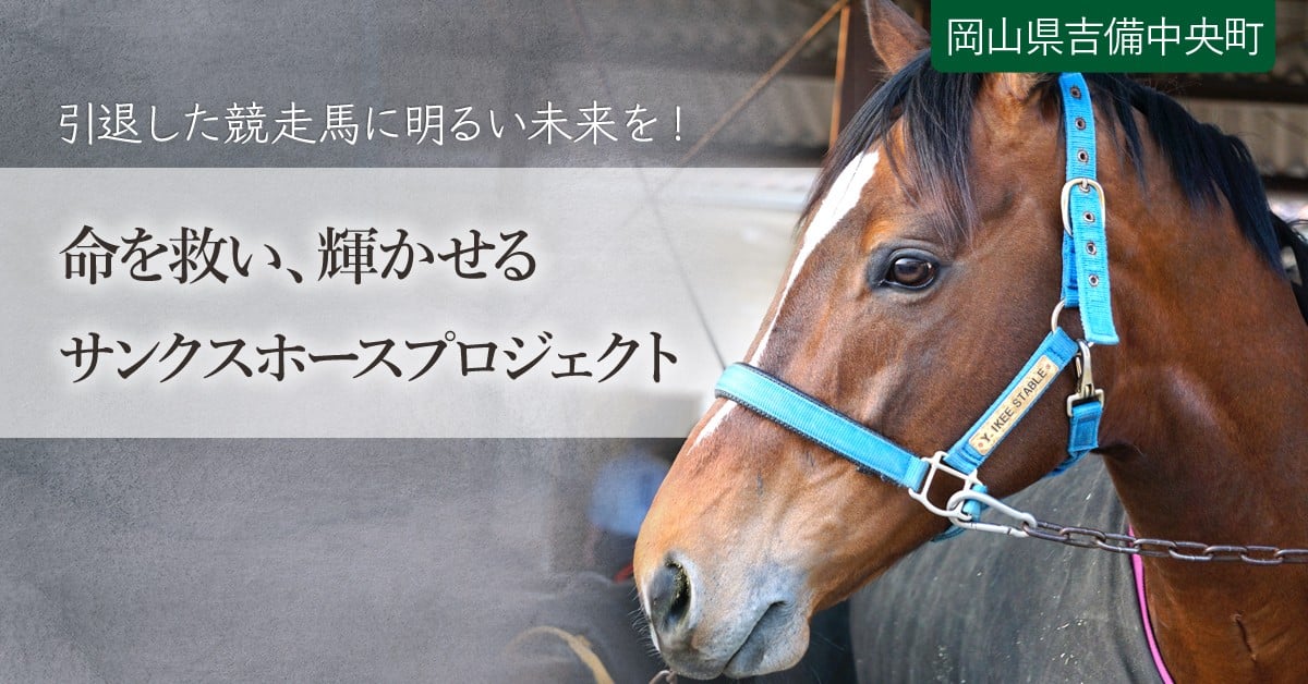 競馬で沸かせたあの馬は今…引退馬を守りたい！馬たちに明るいセカンド