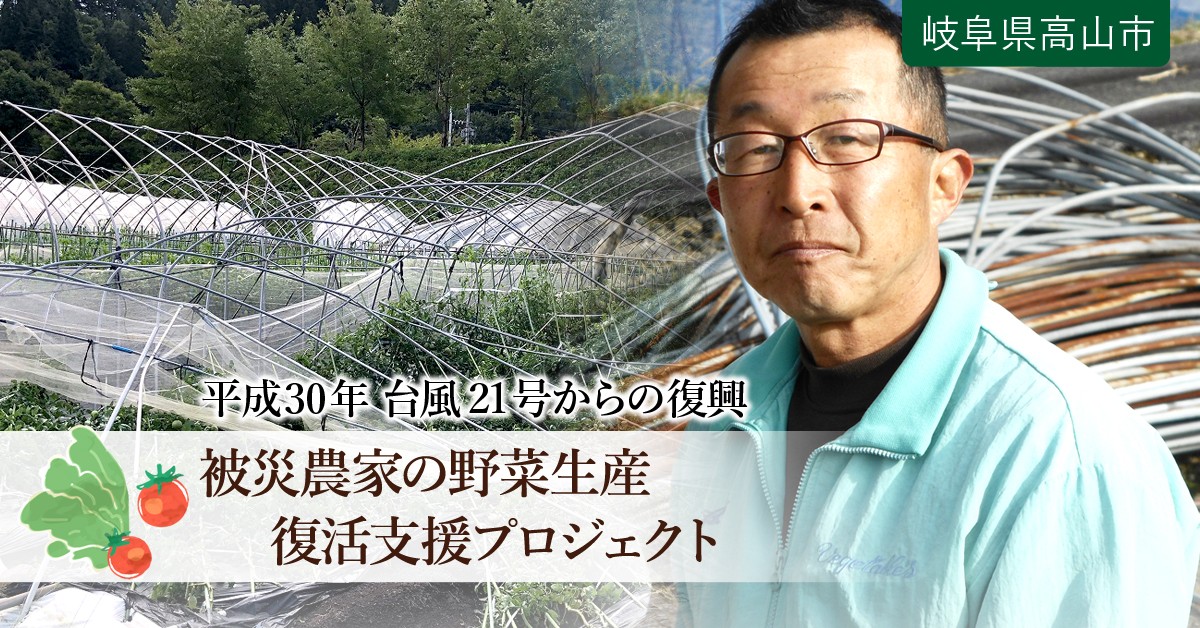 平成30年 台風21号】今年度中に被災した農家のビニールハウス 復旧を支援し、来年の野菜生産を復活させたい｜ふるさと納税のガバメントクラウドファンディングは「ふるさとチョイス」