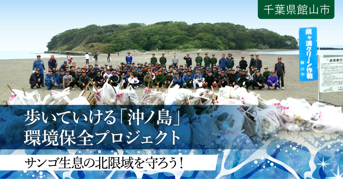 サンゴ生息の北限域 歩いていける無人島 沖ノ島 をいつまでも守りたい ふるさと納税のガバメントクラウドファンディングは ふるさとチョイス