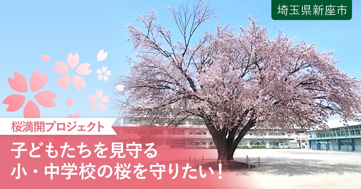 小・中学校の桜を守り育てて、子どもたちのオアシスを残していきたい