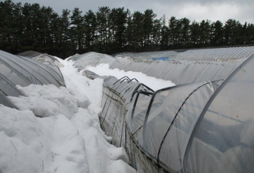 令和３年豪雪　記録的大雪の被害にあった農家さんたちを救いたい！