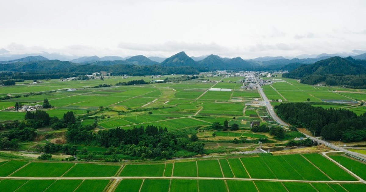 諦めない！】100年先もずっと輝く金山町を残すために。小さな町の新た