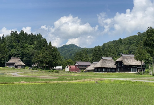 日本の原風景！かやぶき屋根の風景を未来へ紡ぐ！