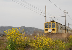 日本で最古級の「近江鉄道線」を守りたい！