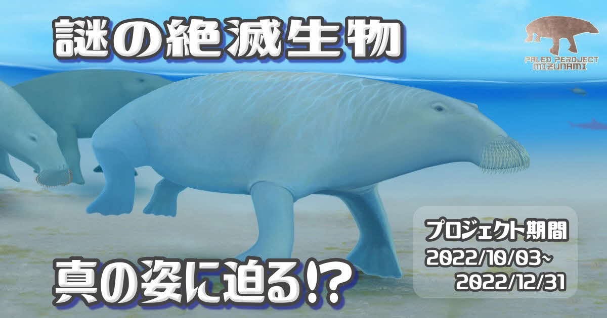 謎の絶滅生物、真の姿に迫る！？ 瑞浪産パレオパラドキシア全身骨格化石 復元プロジェクト｜ふるさと納税のガバメントクラウドファンディングは「ふるさとチョイス」