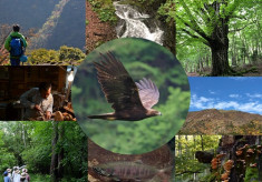 びわ湖から鈴鹿山脈まで水源を守る100年の森づくりを支援したい！