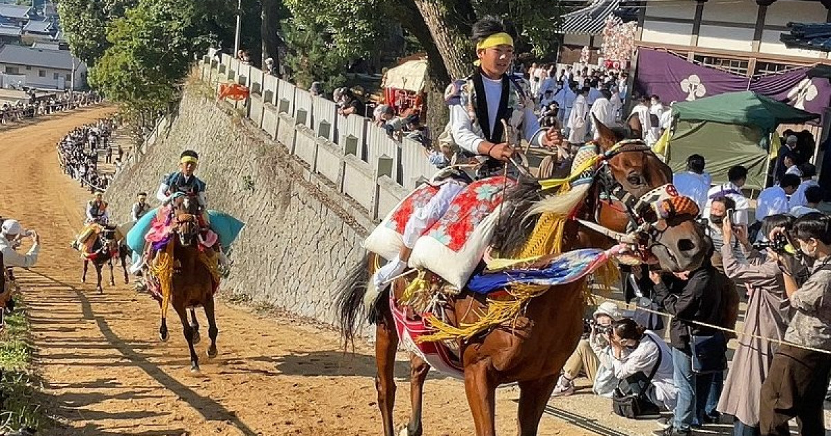 愛媛県今治市】「ホースセラピー」でやさしく馬と寄り添うまちづくり