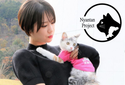 全国の愛猫家とつくりあげる 京都府南丹市「にゃんたん市プロジェクト