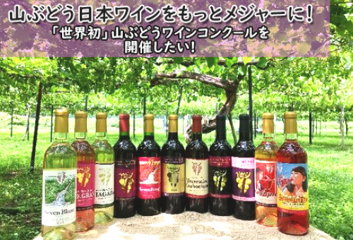 山ぶどうで作られた日本ワインをもっとメジャーに！全国ワイナリーと共に小坂町でヤマブドウコンクールを開催したい!