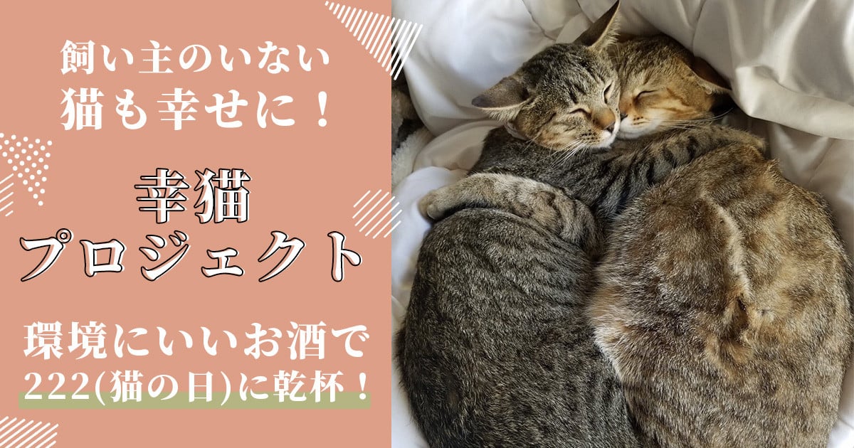 飼い主のいない猫も幸せに 「幸猫プロジェクト」 環境にいいお酒で222(猫 の日)に乾杯！｜ふるさと納税のガバメントクラウドファンディングは「ふるさとチョイス」