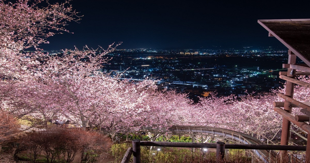 早咲きの桜と富士山の眺望を楽しめる景色を未来に残すために