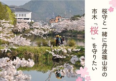 桜守と一緒に丹波篠山市の市木「桜」を守りたい　