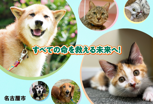 すべての命を救える未来へ！犬猫サポートプロジェクト ～人と