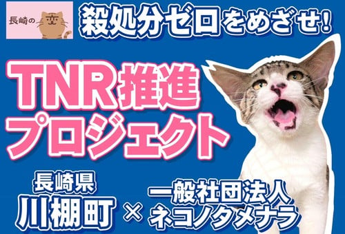 殺処分ワーストの長崎をにゃんとかせんば！ 長崎県のへそ、川棚町で「ＴＮＲ」を叫ぶ！｜ふるさと納税のガバメントクラウドファンディングは「ふるさとチョイス」