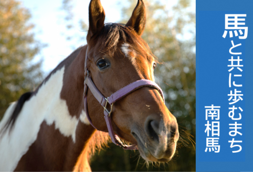 取次店Neko さん専用乗馬用品　試合用ジャケット FOR HORSE ジャケット・アウター