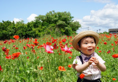 魅力あふれる「岩森ポピー・コスモス花畑」の美しい風景を日本全国の人に知ってもらいたい。