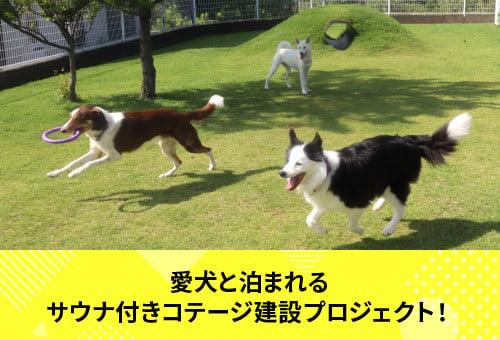 愛犬と泊まれるサウナ付きコテージ建設プロジェクト！｜ふるさと納税の