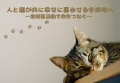 人と猫が共に幸せに暮らせる宇美町をめざして【地域猫活動で命をつなぐ】