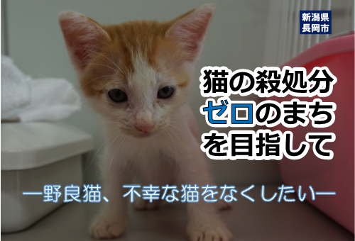 新品工具国産　黒　猫足　こってりリフレシュ済み アップライトピアノ