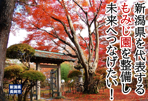 長岡市】新潟県を代表する「もみじ園」を整備し未来へつなげたい