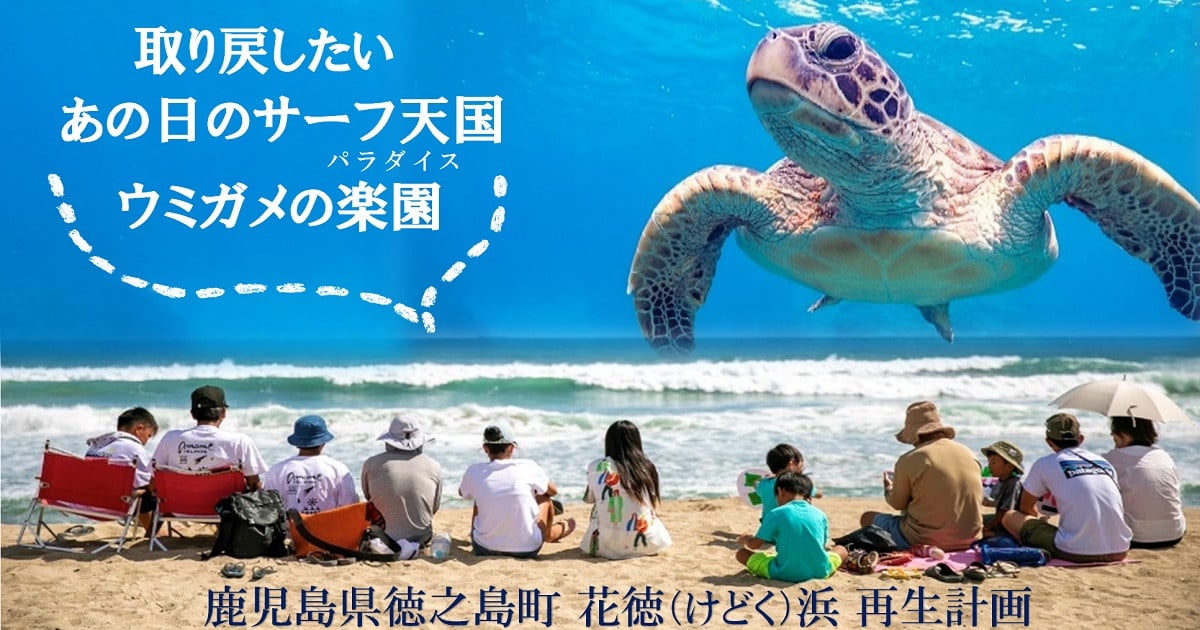 取り戻したい あの日のサーフ天国 ウミガメの楽園（パラダイス）｜ふるさと納税のガバメントクラウドファンディングは「ふるさとチョイス」