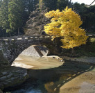 プロジェクトオーナー