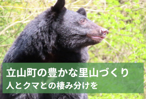main_img