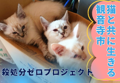 【香川・殺処分ゼロ】不幸な猫を増やさない！猫とともに生きる観音寺市を目指して