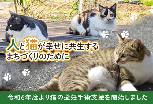 main_img