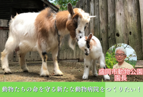 動物たちの命を守る新たな動物病院をつくりたい！  ―ZOOMOの飼育動物も！岩手の野生動物も！―｜ふるさと納税のガバメントクラウドファンディングは「ふるさとチョイス」