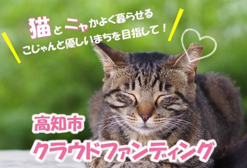 ネクストゴール250万円に挑戦】猫とニャ かよく暮らせるこじゃんと優しいまちを目指して！高知市クラウドファンディング｜ふるさと納税のガバメントクラウドファンディングは「ふるさとチョイス」