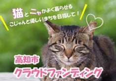 猫とニャかよく暮らせるこじゃんと優しいまちを目指して！高知市クラウドファンディング