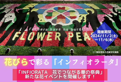 INFIORATA 花 でつながる華の祭典】冬だからこそ､お花でみんなに元気を届けたい!｜ふるさと納税のガバメントクラウドファンディングは「ふるさとチョイス」