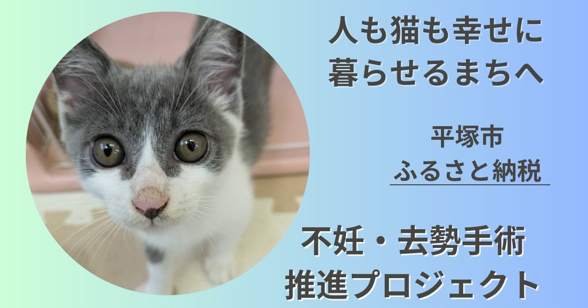 人も猫も幸せに暮らせるまちを目指して！野良猫の不妊・去勢手術にご支援を｜ふるさと納税のガバメントクラウドファンディングは「ふるさとチョイス」