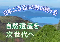 みちのく最大級の高山植物を誇る花の名山を守りたい！秋田駒ヶ岳の登山道整備にご支援を。