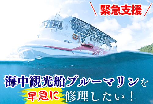 緊急支援》海中観光船ブルーマリンを修理したい！幻想的な海の世界を楽しんでいただく ために｜ふるさと納税のガバメントクラウドファンディングは「ふるさとチョイス」