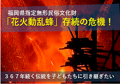 福岡県指定無形民俗文化財「花火動乱蜂」存続の危機！３６７年続く伝統を子どもたちに引き継ぎたい