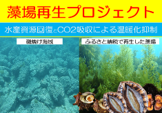 藻場を再生して水産資源回復とCO2吸収～持続可能な漁業と地球環境保全を目指して～